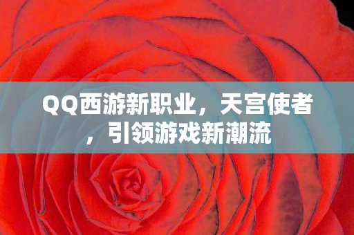 QQ西游新职业图片