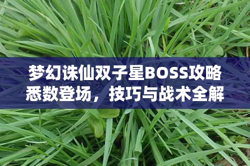 梦幻诛仙双子星BOSS攻略悉数登场图片