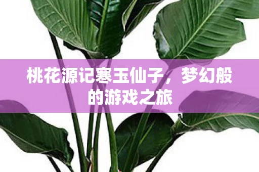 桃花源记寒玉仙子图片
