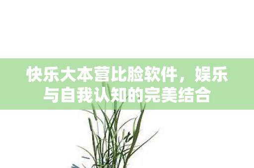 娱乐与自我认知的完美结合图片