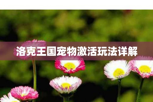 洛克王国宠物激活玩法详解图片