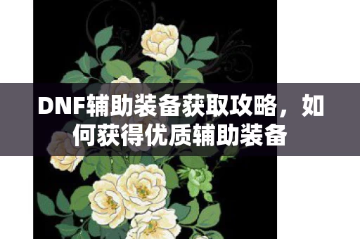 DNF辅助装备获取攻略图片