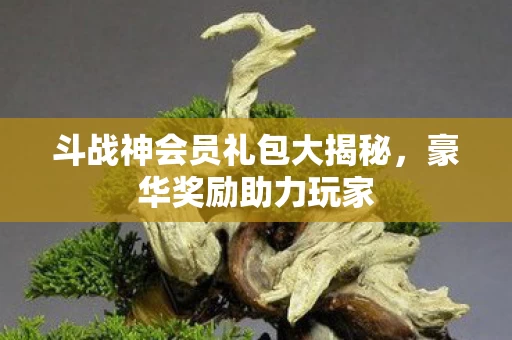 斗战神会员礼包大揭秘图片