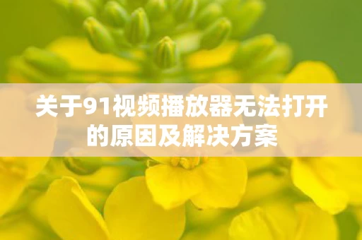 关于91视频播放器无法打开的原因及解决方案图片