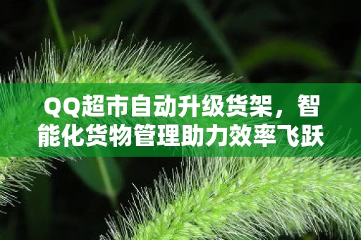智能化货物管理助力效率飞跃图片