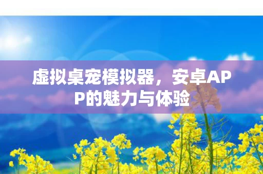 安卓APP的魅力与体验图片