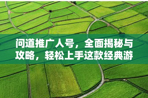 轻松上手这款经典游戏图片