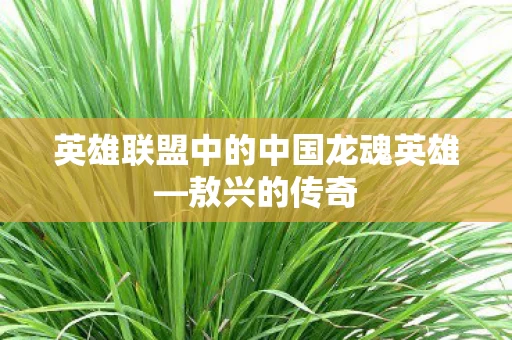 英雄联盟中的中国龙魂英雄图片
