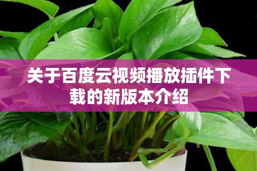 关于百度云视频播放插件下载的新版本介绍图片