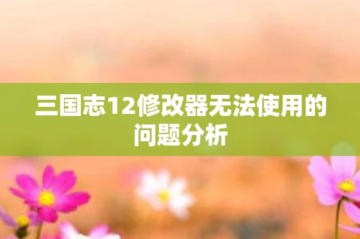 三国志12修改器无法使用的问题分析图片