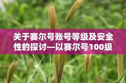 关于赛尔号账号等级及安全性的探讨图片