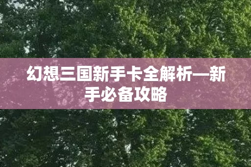 幻想三国新手卡全解析图片