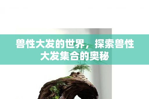 探索兽性大发集合的奥秘图片