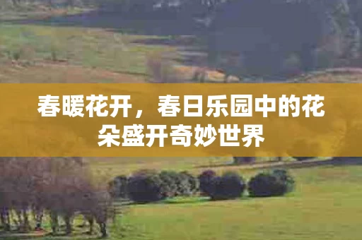 春日乐园中的花朵盛开奇妙世界图片