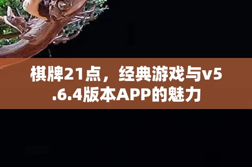4版本APP的魅力图片