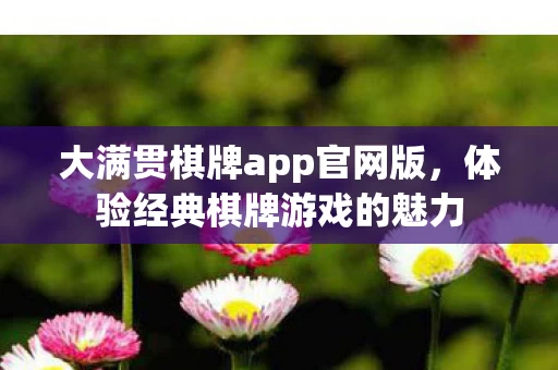 大满贯棋牌app官网版图片