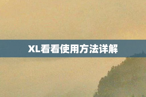 XL看看使用方法详解图片