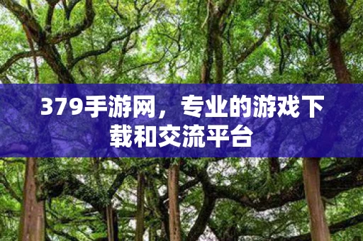 专业的游戏下载和交流平台图片