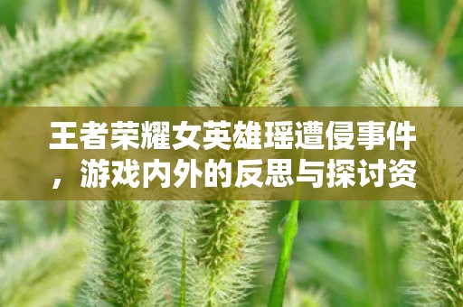 王者荣耀女英雄瑶遭侵事件图片