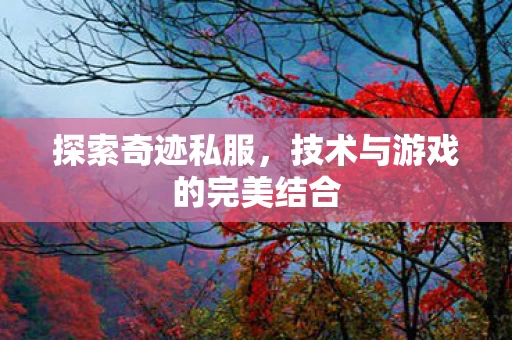 技术与游戏的完美结合图片