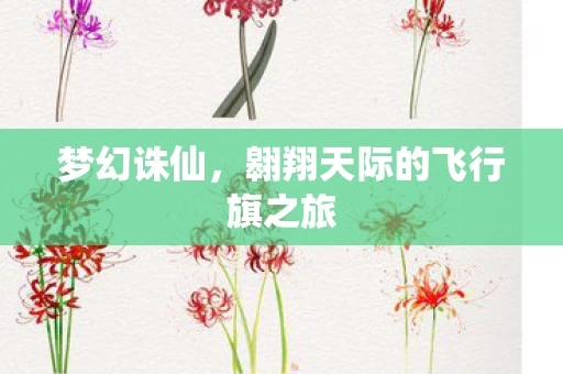 翱翔天际的飞行旗之旅图片