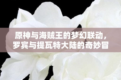 罗宾与提瓦特大陆的奇妙冒险图片