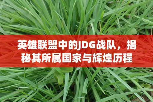 揭秘其所属国家与辉煌历程图片