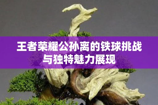 王者荣耀公孙离的铁球挑战与独特魅力展现图片