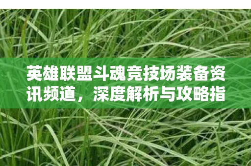 英雄联盟斗魂竞技场装备资讯频道图片