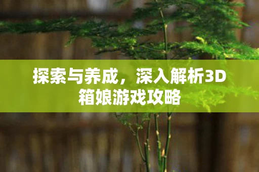 深入解析3D箱娘游戏攻略图片
