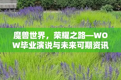WOW毕业演说与未来可期资讯图片