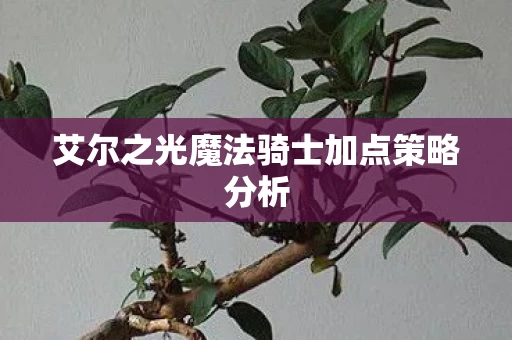 艾尔之光魔法骑士加点策略分析图片