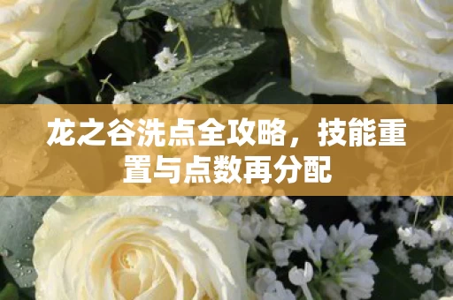 技能重置与点数再分配图片