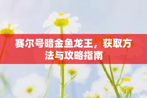 获取方法与攻略指南图片