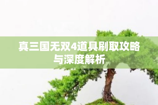 真三国无双4道具刷取攻略与深度解析图片