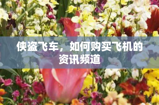 如何购买飞机的资讯频道图片