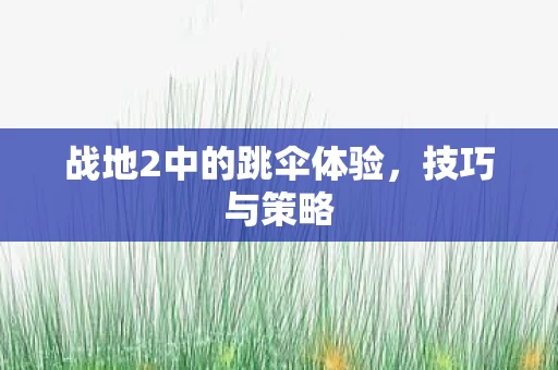战地2中的跳伞体验图片