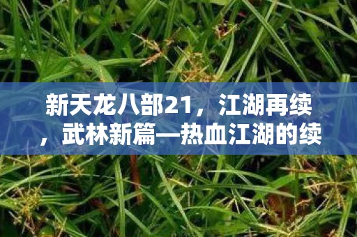 热血江湖的续写者图片