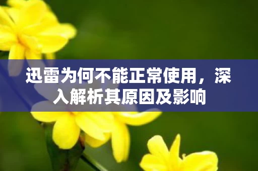 迅雷为何不能正常使用图片