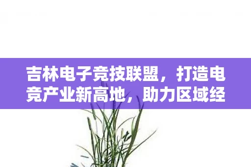 打造电竞产业新高地图片