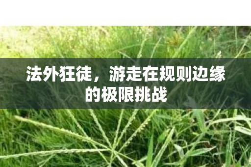 游走在规则边缘的极限挑战图片
