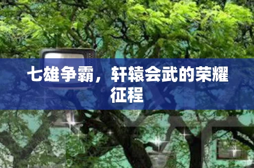 轩辕会武的荣耀征程图片
