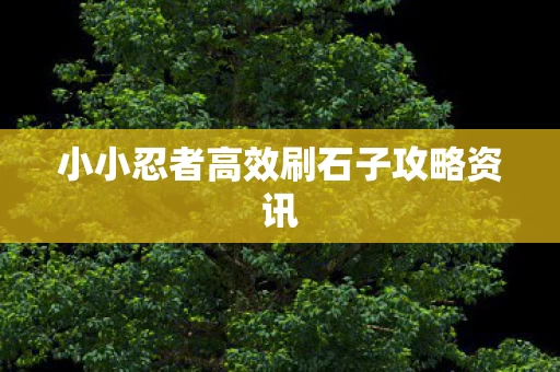小小忍者高效刷石子攻略资讯图片