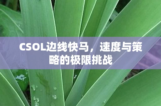 速度与策略的极限挑战图片