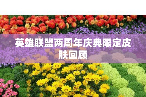 英雄联盟两周年庆典限定皮肤回顾图片