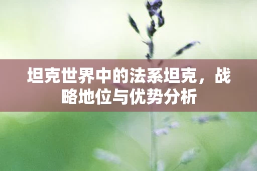 坦克世界中的法系坦克图片