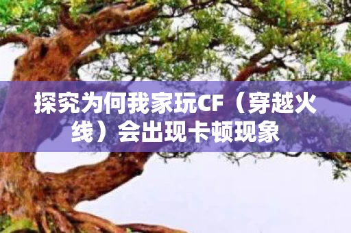 探究为何我家玩CF图片
