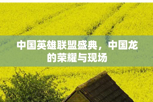 中国龙的荣耀与现场图片
