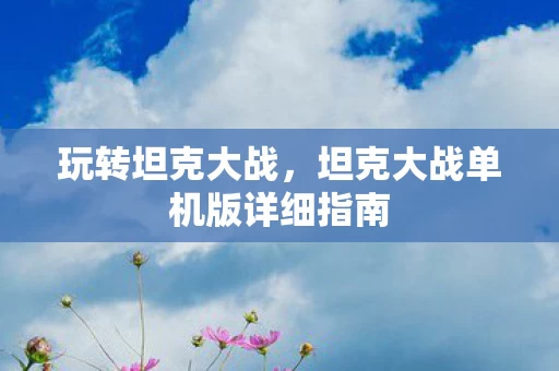坦克大战单机版详细指南图片