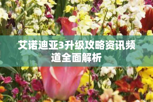 艾诺迪亚3升级攻略资讯频道全面解析图片
